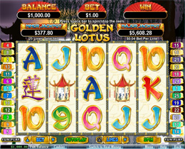 Golden Lotus Slot Screenshot