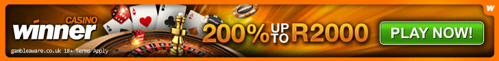 Play Silent Samurai Slot at Winner Casino
